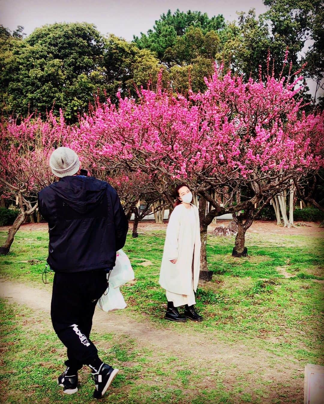 三船美佳さんのインスタグラム写真 - (三船美佳Instagram)「🌸 ある日の休日☀️ お天気も良いし ポカポカ日和だから ピクニックしよっかぁ🍙☀️ と大阪の#服部緑地公園　へ。 そこにはちょうど 梅が綺麗に咲いていて 思い掛けず お花見ができました🌸 #写真苦手だからもぉいいよぉと言ってるのにメッチャ写真撮ってくるダンナちゃんをメッチャ写真撮る子供#花より団子ではなくてツクネ#お花の下でお昼寝できたら気持ちいいだろうなぁって言ったら膝を貸してくれた子供が強烈な貧乏揺すりをしてきて全く寝れないし1番近い梅の木は枝#そんなこんなの楽しい家族時間でした🌸」3月14日 11時55分 - mikamifune_official