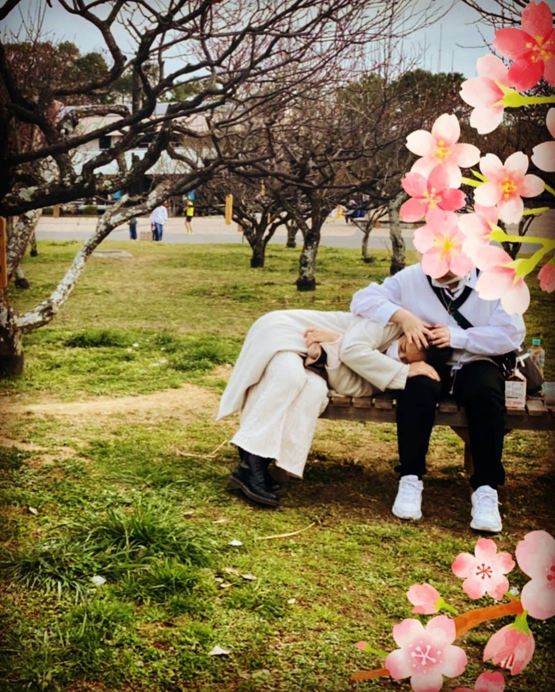 三船美佳さんのインスタグラム写真 - (三船美佳Instagram)「🌸 ある日の休日☀️ お天気も良いし ポカポカ日和だから ピクニックしよっかぁ🍙☀️ と大阪の#服部緑地公園　へ。 そこにはちょうど 梅が綺麗に咲いていて 思い掛けず お花見ができました🌸 #写真苦手だからもぉいいよぉと言ってるのにメッチャ写真撮ってくるダンナちゃんをメッチャ写真撮る子供#花より団子ではなくてツクネ#お花の下でお昼寝できたら気持ちいいだろうなぁって言ったら膝を貸してくれた子供が強烈な貧乏揺すりをしてきて全く寝れないし1番近い梅の木は枝#そんなこんなの楽しい家族時間でした🌸」3月14日 11時55分 - mikamifune_official