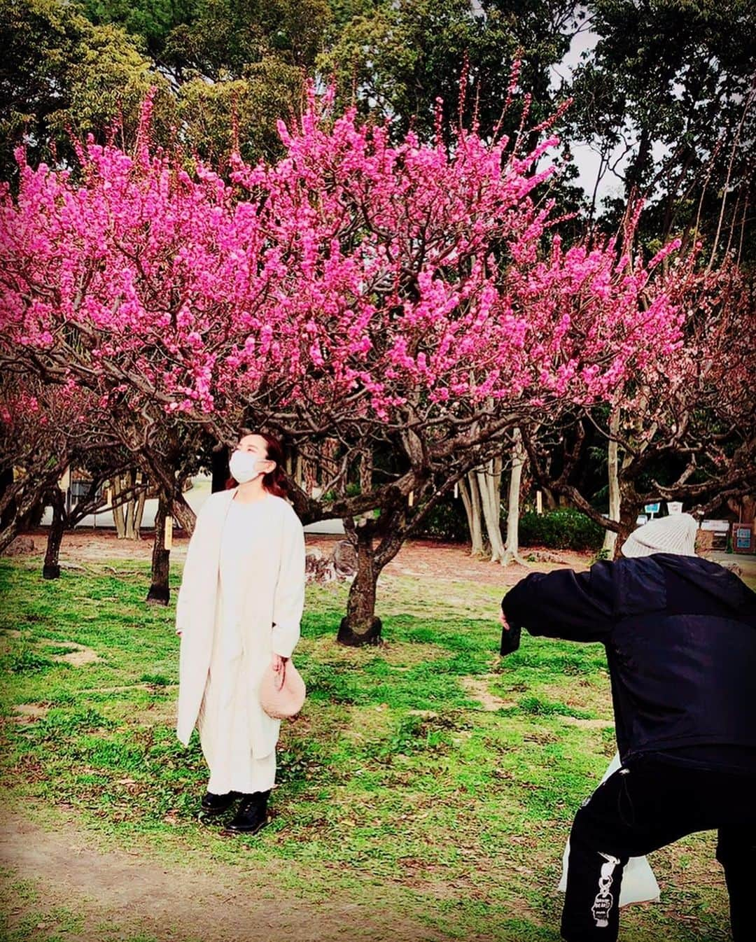 三船美佳さんのインスタグラム写真 - (三船美佳Instagram)「🌸 ある日の休日☀️ お天気も良いし ポカポカ日和だから ピクニックしよっかぁ🍙☀️ と大阪の#服部緑地公園　へ。 そこにはちょうど 梅が綺麗に咲いていて 思い掛けず お花見ができました🌸 #写真苦手だからもぉいいよぉと言ってるのにメッチャ写真撮ってくるダンナちゃんをメッチャ写真撮る子供#花より団子ではなくてツクネ#お花の下でお昼寝できたら気持ちいいだろうなぁって言ったら膝を貸してくれた子供が強烈な貧乏揺すりをしてきて全く寝れないし1番近い梅の木は枝#そんなこんなの楽しい家族時間でした🌸」3月14日 11時55分 - mikamifune_official