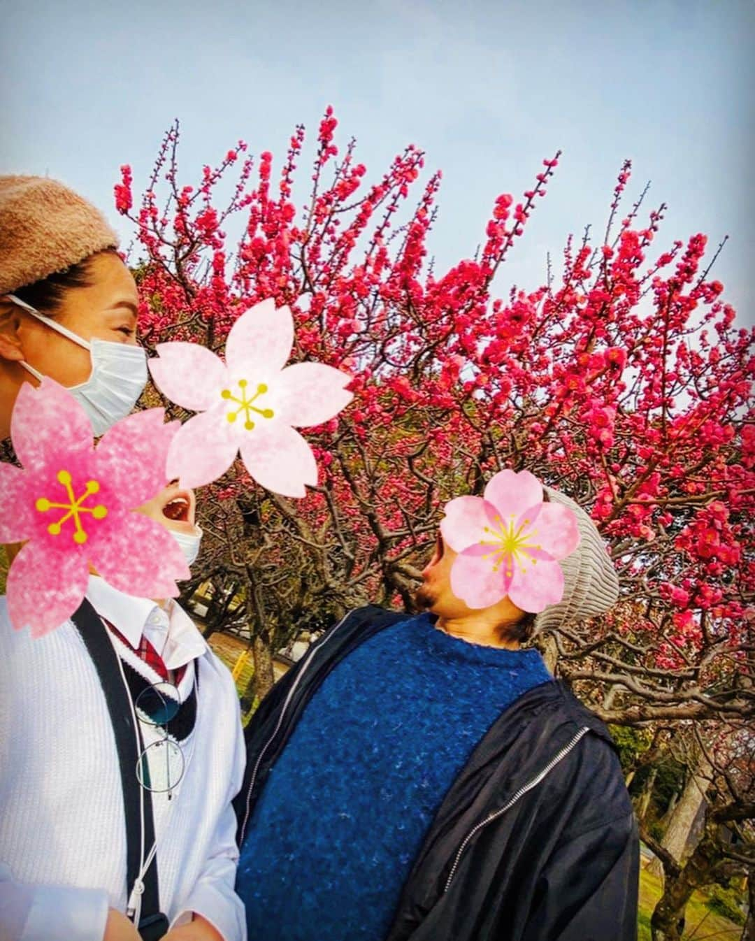 三船美佳さんのインスタグラム写真 - (三船美佳Instagram)「🌸 ある日の休日☀️ お天気も良いし ポカポカ日和だから ピクニックしよっかぁ🍙☀️ と大阪の#服部緑地公園　へ。 そこにはちょうど 梅が綺麗に咲いていて 思い掛けず お花見ができました🌸 #写真苦手だからもぉいいよぉと言ってるのにメッチャ写真撮ってくるダンナちゃんをメッチャ写真撮る子供#花より団子ではなくてツクネ#お花の下でお昼寝できたら気持ちいいだろうなぁって言ったら膝を貸してくれた子供が強烈な貧乏揺すりをしてきて全く寝れないし1番近い梅の木は枝#そんなこんなの楽しい家族時間でした🌸」3月14日 11時55分 - mikamifune_official