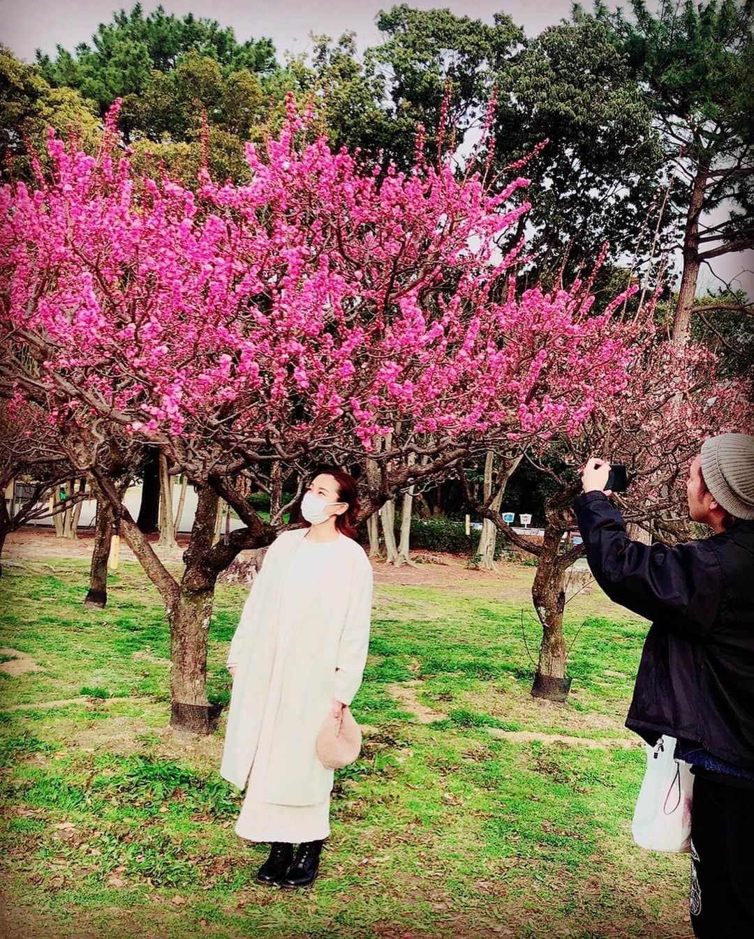 三船美佳さんのインスタグラム写真 - (三船美佳Instagram)「🌸 ある日の休日☀️ お天気も良いし ポカポカ日和だから ピクニックしよっかぁ🍙☀️ と大阪の#服部緑地公園　へ。 そこにはちょうど 梅が綺麗に咲いていて 思い掛けず お花見ができました🌸 #写真苦手だからもぉいいよぉと言ってるのにメッチャ写真撮ってくるダンナちゃんをメッチャ写真撮る子供#花より団子ではなくてツクネ#お花の下でお昼寝できたら気持ちいいだろうなぁって言ったら膝を貸してくれた子供が強烈な貧乏揺すりをしてきて全く寝れないし1番近い梅の木は枝#そんなこんなの楽しい家族時間でした🌸」3月14日 11時55分 - mikamifune_official