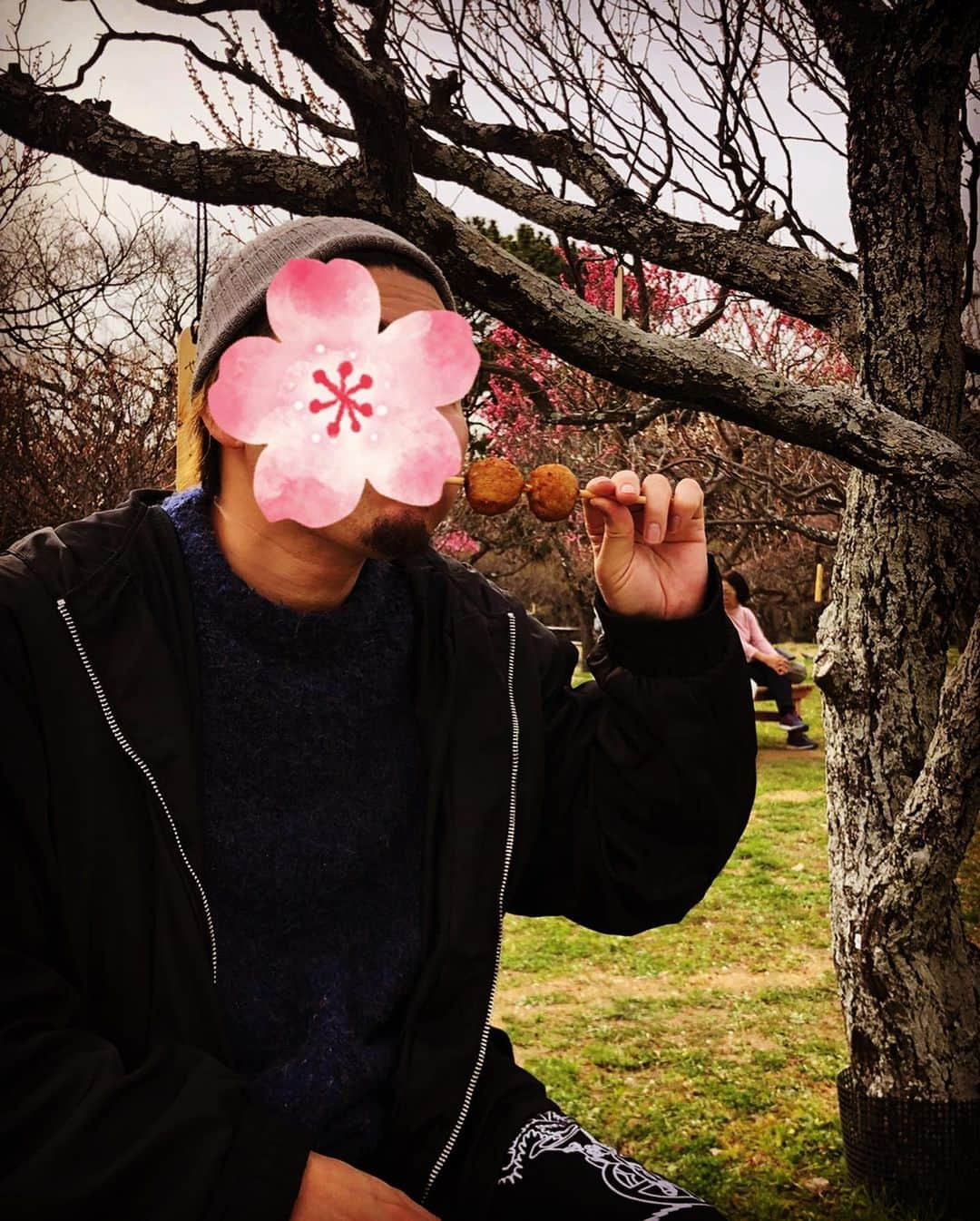 三船美佳さんのインスタグラム写真 - (三船美佳Instagram)「🌸 ある日の休日☀️ お天気も良いし ポカポカ日和だから ピクニックしよっかぁ🍙☀️ と大阪の#服部緑地公園　へ。 そこにはちょうど 梅が綺麗に咲いていて 思い掛けず お花見ができました🌸 #写真苦手だからもぉいいよぉと言ってるのにメッチャ写真撮ってくるダンナちゃんをメッチャ写真撮る子供#花より団子ではなくてツクネ#お花の下でお昼寝できたら気持ちいいだろうなぁって言ったら膝を貸してくれた子供が強烈な貧乏揺すりをしてきて全く寝れないし1番近い梅の木は枝#そんなこんなの楽しい家族時間でした🌸」3月14日 11時55分 - mikamifune_official