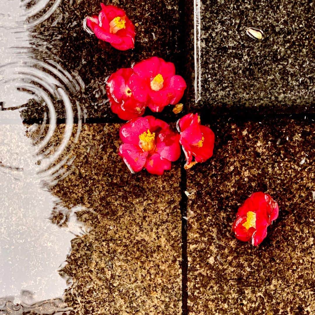 武井義明のグルメインスタ