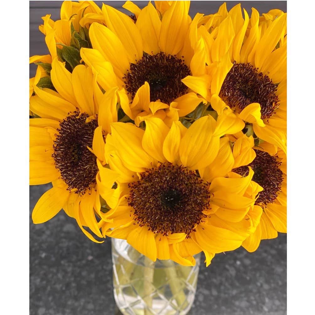 のインスタグラム：「向日葵をキッチンカウンターに飾って🌻 明るいカラーで気持ちにパワーを❣️ #向日葵#flower #春香#haruka」