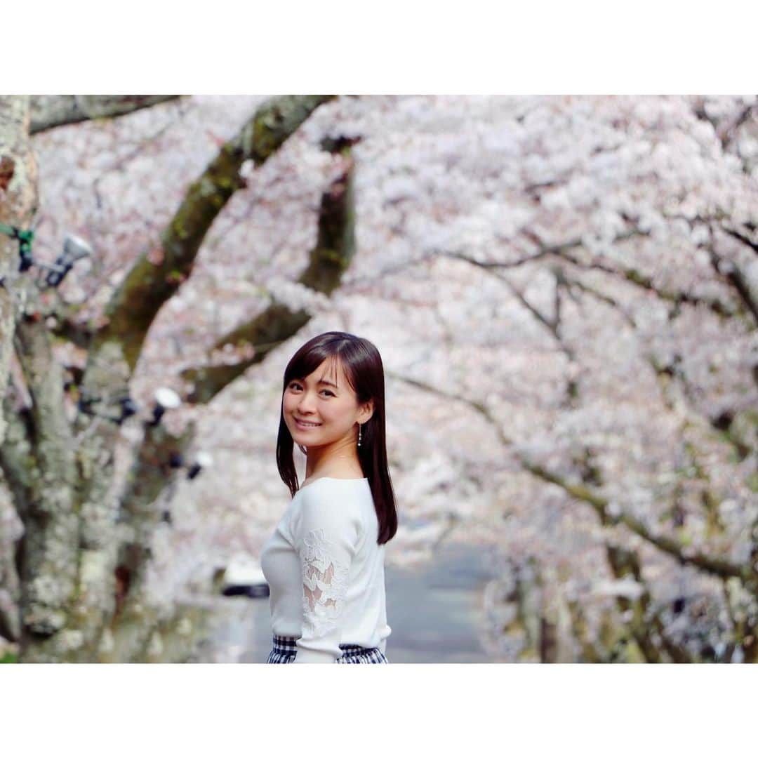 繁田美貴さんのインスタグラム写真 - (繁田美貴Instagram)「*＊ 雪が降り冬のような寒さの中、 東京で桜が開花したようですね。 お花見、はできなくても、 通りすがりやお家の窓から見える桜が、 コロナウイルスの影響で ギュッと縮こまった気持ちを 少しでもほころばせてくれますように。 #過去pic #数年前の #桜並木 #桜 #🌸」3月14日 23時59分 - handa_miki
