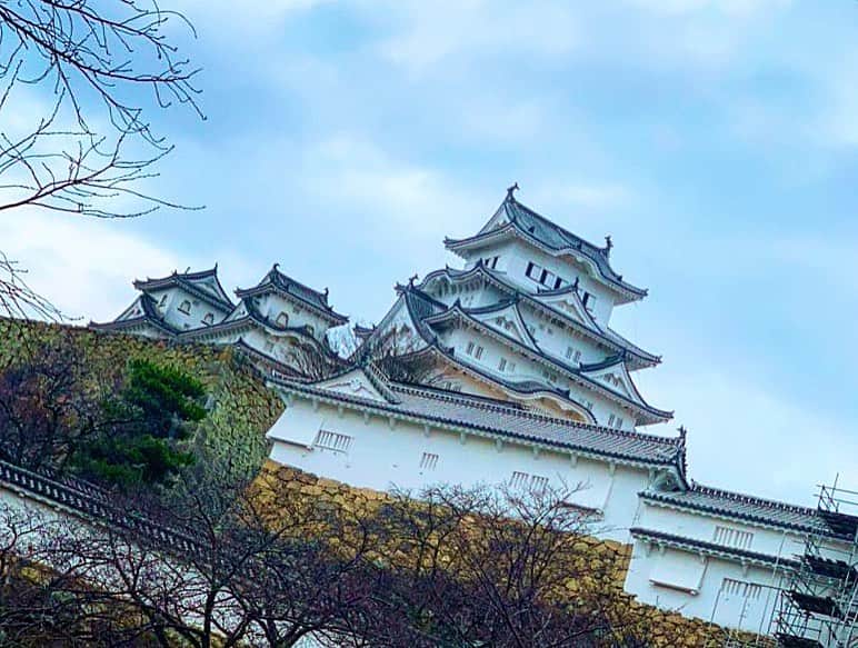 のインスタグラム：「💖 . お仕事で初の姫路🏯 . 今年はたくさん来る機会がありそうです😍✨ . 姫路の方々、よろしくお願いします❤️ . お仕事の方々と、 絶品のカツオくんやクジラくんたちをいただきました😋 . 明日も頑張れそう💪❤️ . . #weekend#trip#businesstrip#姫路#姫路城#himejicastle#世界遺産#japan#japanesetraditional#worldheritage#姫路グルメ#カツオのたたき#鯨鍋#海鮮#お刺身#グルメ#yummy#delicious#japanesefood#happy」