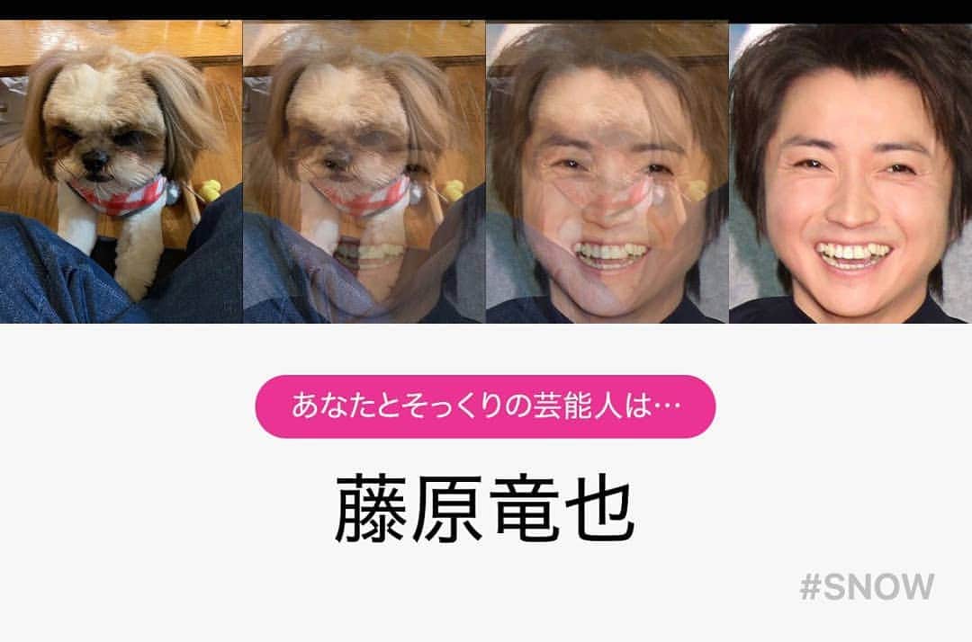のインスタグラム：「おいおいマジかよ」