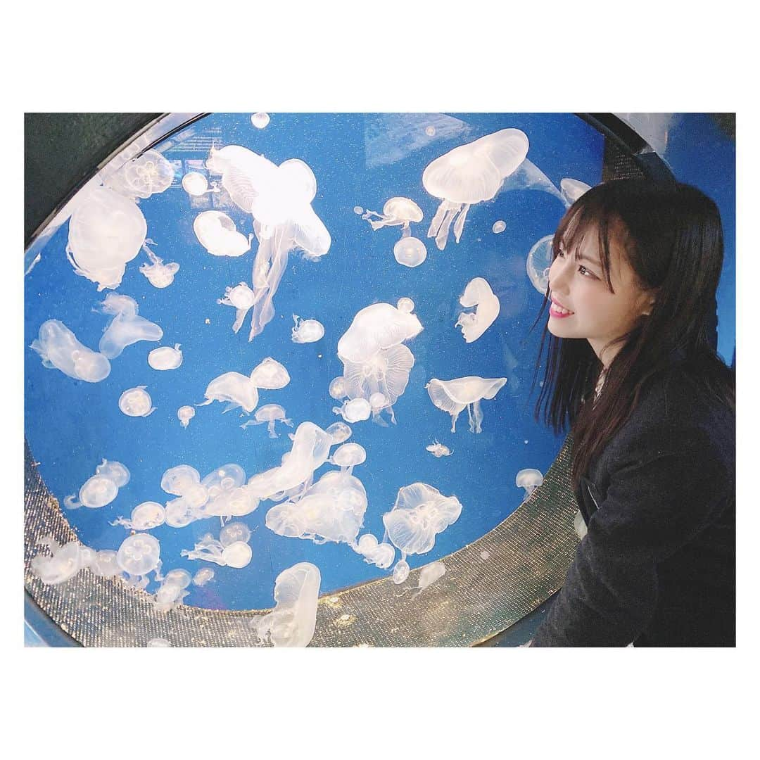 岩田陽菜さんのインスタグラム写真 - (岩田陽菜Instagram)「水族館の推しメンはクラゲです〜☺️☺💙﻿ ﻿ ﻿ #クラゲ#水族館#山口#山口旅行#海響館」3月14日 22時54分 - hina_naso_stu48