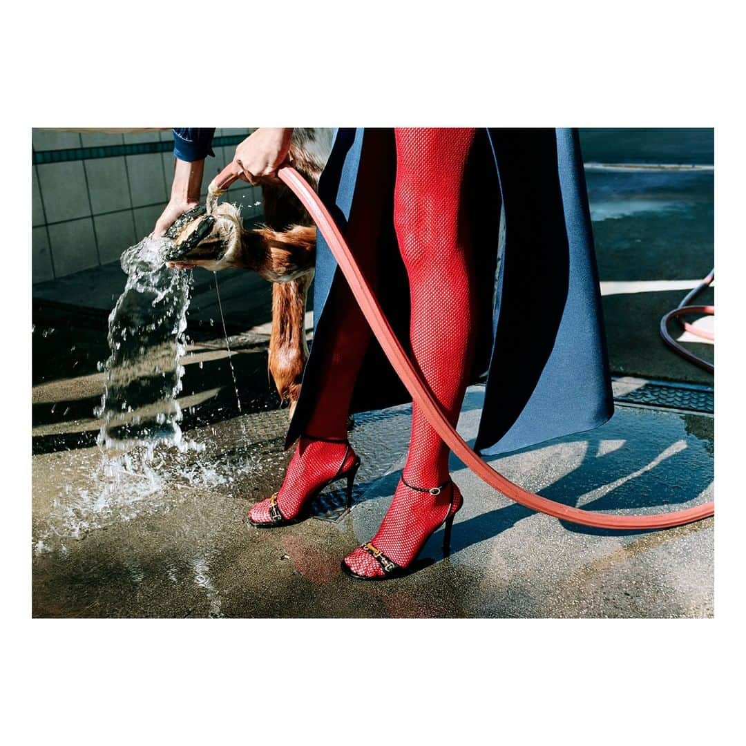 グッチさんのインスタグラム写真 - (グッチInstagram)「Captured inside @chateaumarmont Hotel and at a carwash in Los Angeles, shoes from #GucciSS20 including new leather sandals embellished with the Horsebit hardware combined with the Interlocking G and with a chain detail. Discover more through link in bio. @alessandro_michele #AlessandroMichele #ChateauMarmont  American Humane monitored the animal action on the set of the #GucciSS20 campaign. No animals were harmed®️.」3月14日 23時00分 - gucci