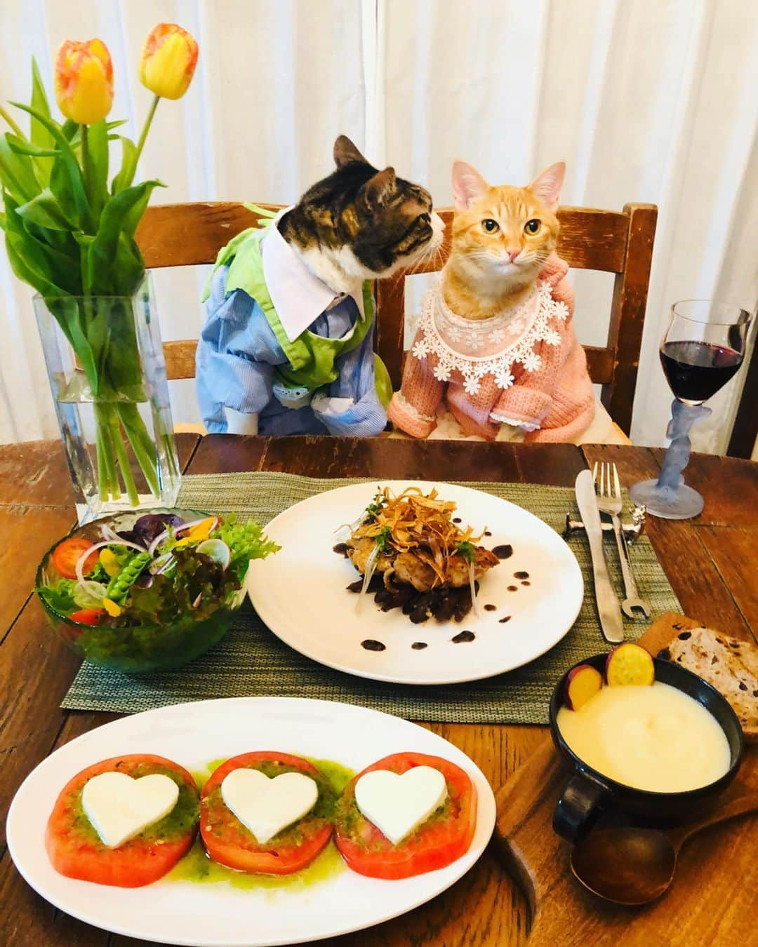 マロさんのインスタグラム写真 - (マロInstagram)「💙ホワイトデー💙　SWIPE▶️ 【White day's dinner 🍽】 ・鶏もも肉のソテー焦がしバターバルサミコソース添え (Sauteed chicken thigh with buttered balsamic sauce) ・トマトとモッツァレラのカプレーゼ (Caprese with tomatoes and mozzarella) ・さつまいものポタージュ🍠 (Sweet potato potage) ・サラダ🥗 (Salad) ☆ いつもコメントありがとうございます😺🙏💕 返信出来なくてすみません🙇‍♀️ ☆ Thank you for your comments😺🙏💕 I'm sorry that I couldn't reply. ☆ #cat#cats#catsofinstagram#😻 #chef#wine#whiteday#dinner #にゃんすたぐらむ#ねこ#ねこ部 #ふわもこ部#ホワイトデー #チューリップ#花のある暮らし  #猫のいる暮らし#斉藤和義 #カーリングシトーンズ」3月14日 23時33分 - rinne172