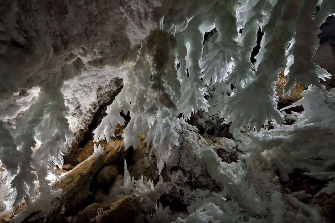 のインスタグラム：「Photo by Robbie Shone @shonephoto | The Chandelier Ballroom in Lechuguilla Cave, in Carlsbad Caverns National Park, is a chamber that is as iconic to cave explorers around the world as the Royal Albert Hall is to musicians, composers, and artists. There is nowhere else in the world quite like it! With its giant six-meter-long (20 feet) glittering gypsum formations hanging from the ceiling, it feels like you are exploring on another planet.」