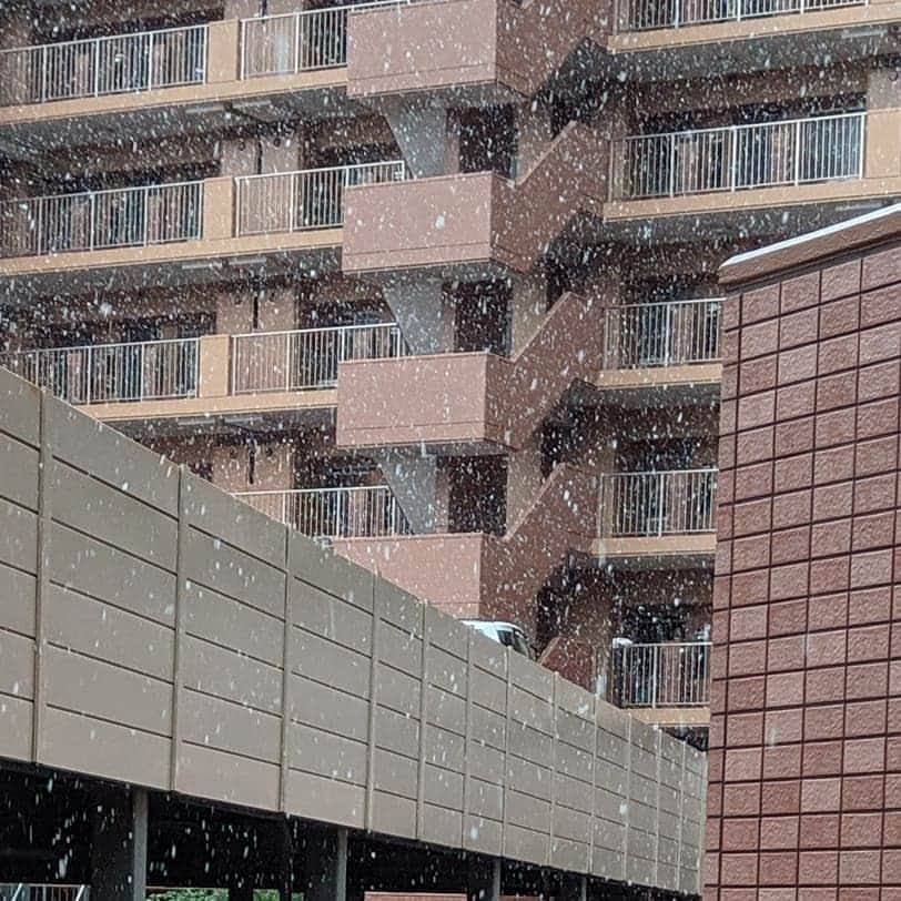 日向正樹さんのインスタグラム写真 - (日向正樹Instagram)「雪降ってる!」3月14日 15時07分 - hinatamasaki