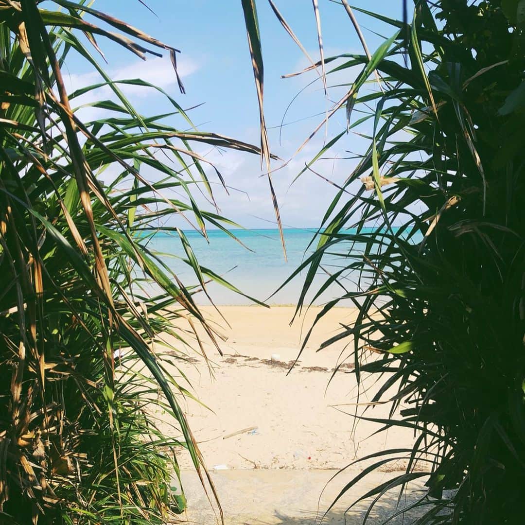 三浦マキのインスタグラム：「It takes only 2hours to explore hole island, but there are tons of beautiful beaches. 小浜島のビーチ巡りMap。 たった2時間で全島回れる小さな島だけど、綺麗なビーチがたくさん✨ * 🍉写真1.2.3 / #コーラルビーチ 遠くから見ても近くから見ても、綺麗さ100点満点の小さなビーチ。 * 🍉写真4.5.6 /#はいむるぶしビーチ ホテルの目の前にある、開放感抜群のビーチ♡ テラスの二階でお酒を飲んだら、気分はまるでメキシコに… * 🍉写真8/ 小浜港 フェリー乗り場すぐの海でさえ、こんなに綺麗なんです!! * その他 #細崎漁港 などたくさんありました。 * * * #小浜#小浜島 #沖縄離島巡り #beach#okinawa#islandhopping #kohamajima」