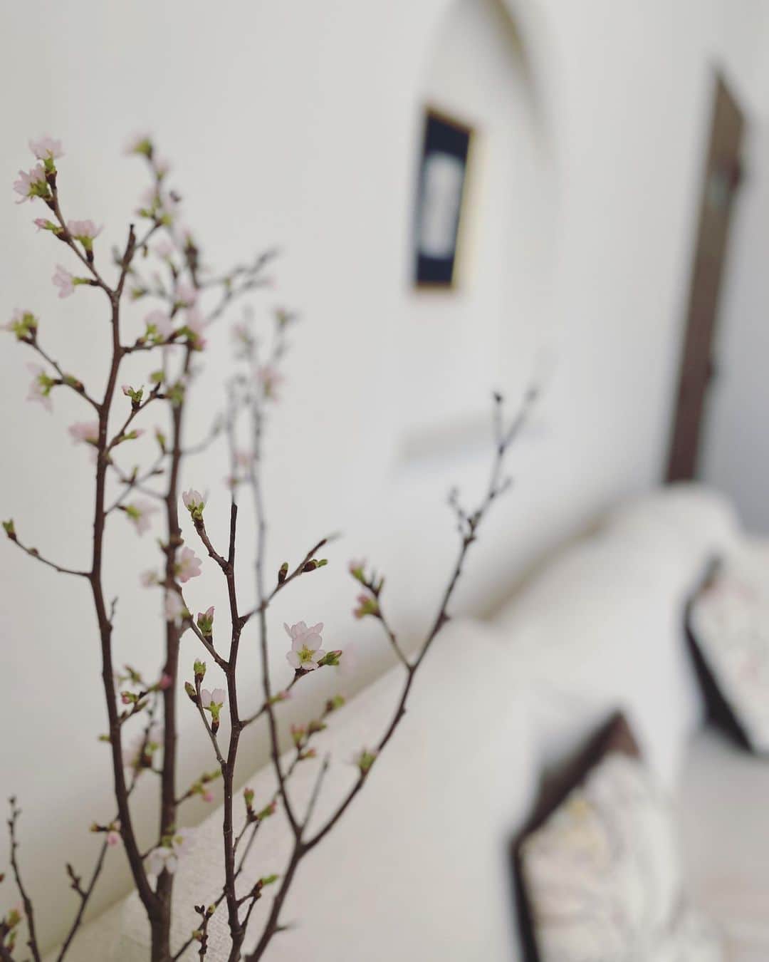 Risako Yamamotoさんのインスタグラム写真 - (Risako YamamotoInstagram)「こじこじさん @hiroko_kojima.nailworks から頂いた桜の木の枝🌸 咲き始めました♥︎ 可愛いー！♥︎うれしい😆♡ ・ ・ #桜 #cherryblossom」3月14日 15時45分 - risako_yamamoto