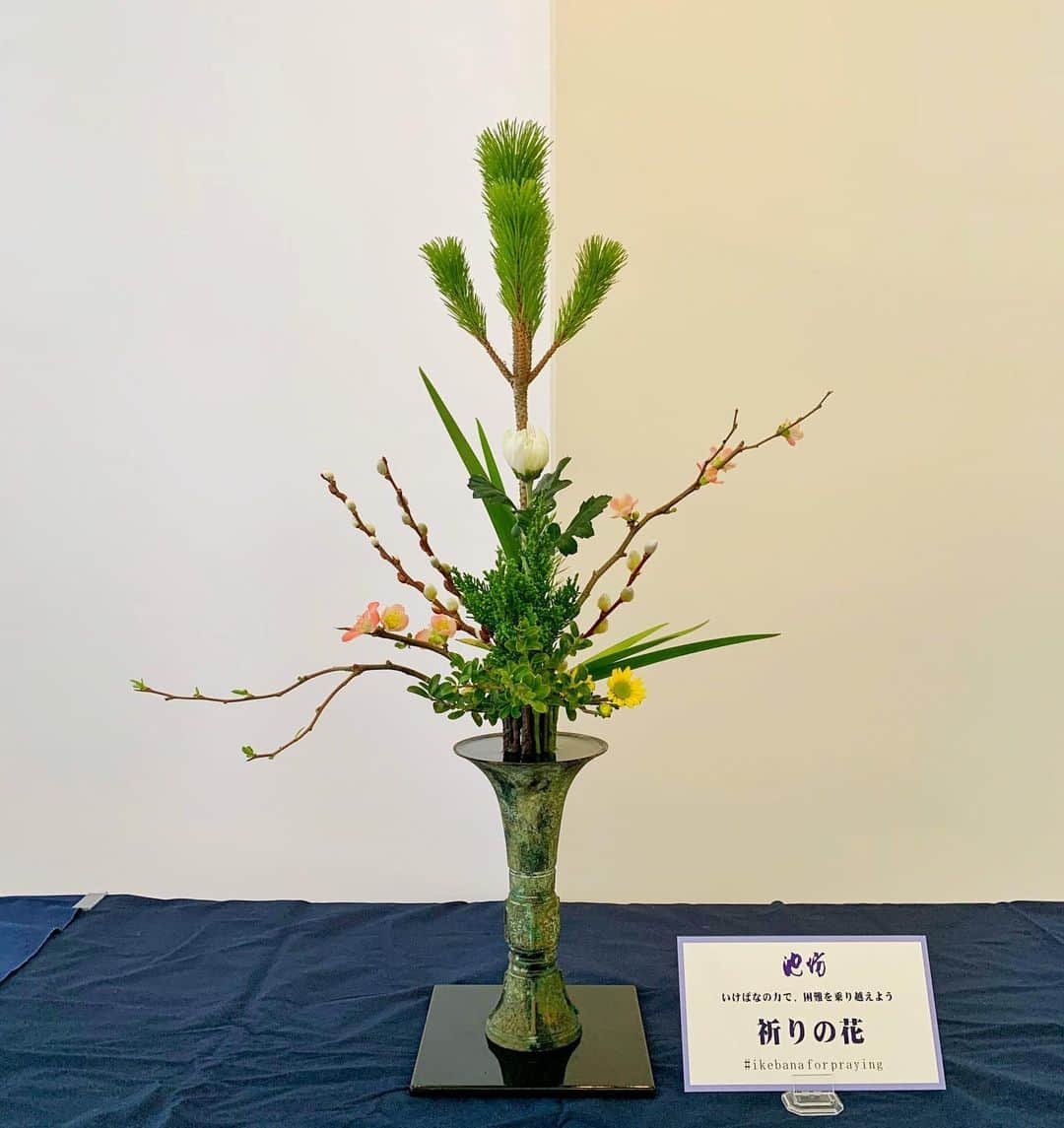 いけばな池坊さんのインスタグラム写真 - (いけばな池坊Instagram)「「春のいけばな展」が開催されるはずだった今週末。  池坊会館では3月14日15日の2日間、職員有志と花市商店スタッフ、京都ビギナーズレッスン講師で50作の「祈りの花」をいけて展示しました。  春の花が美しい季節です。  皆様もお家でいけばなをいけましょう。 一輪の花がそっと力をくれることでしょう。  #池坊 #いけばな #生け花 #華道 #花 #フラワーアレンジ #フラワーデザイン #和室 #和空間 #インテリア #和モダン #暮らし #アート #ikebanaflowers #Japaneseflowerarrangement #ikebanaforpraying」3月14日 15時51分 - ikenobo550