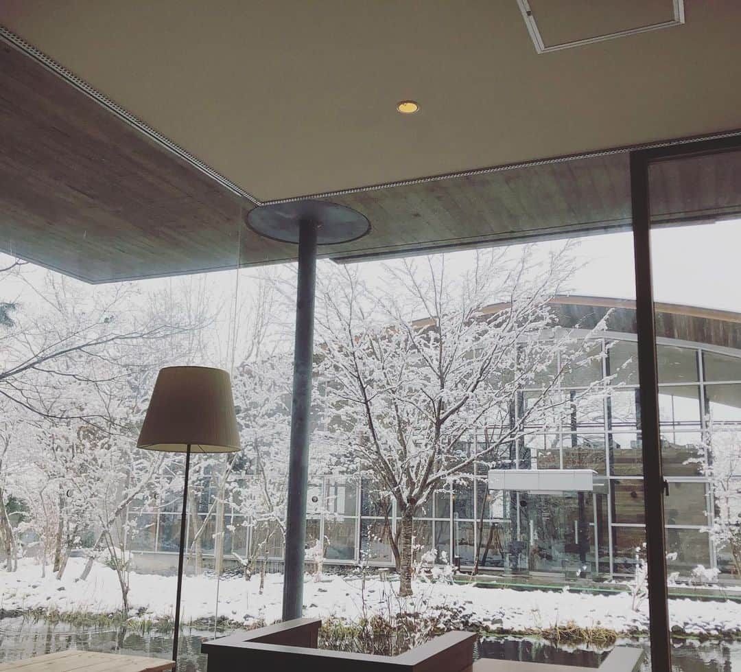 佐藤友紀さんのインスタグラム写真 - (佐藤友紀Instagram)「都内は雨がみぞれになってて、 春を疑う寒さ！  この写真は、雪を撮るようになっちゃあ、道産子もおしまいよ。と、寅さん風に家族に言われたときの。 箱根です、 . #雪 #みぞれ #雪景色　#パン屋さん #コーヒー　#箱根 #小休憩に #寅さん #snowday #coldday #cafe #hakone」3月14日 16時08分 - satoyuki_627