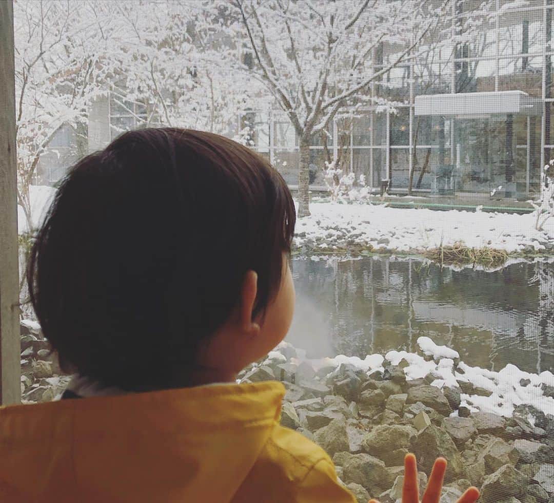 佐藤友紀さんのインスタグラム写真 - (佐藤友紀Instagram)「都内は雨がみぞれになってて、 春を疑う寒さ！  この写真は、雪を撮るようになっちゃあ、道産子もおしまいよ。と、寅さん風に家族に言われたときの。 箱根です、 . #雪 #みぞれ #雪景色　#パン屋さん #コーヒー　#箱根 #小休憩に #寅さん #snowday #coldday #cafe #hakone」3月14日 16時08分 - satoyuki_627