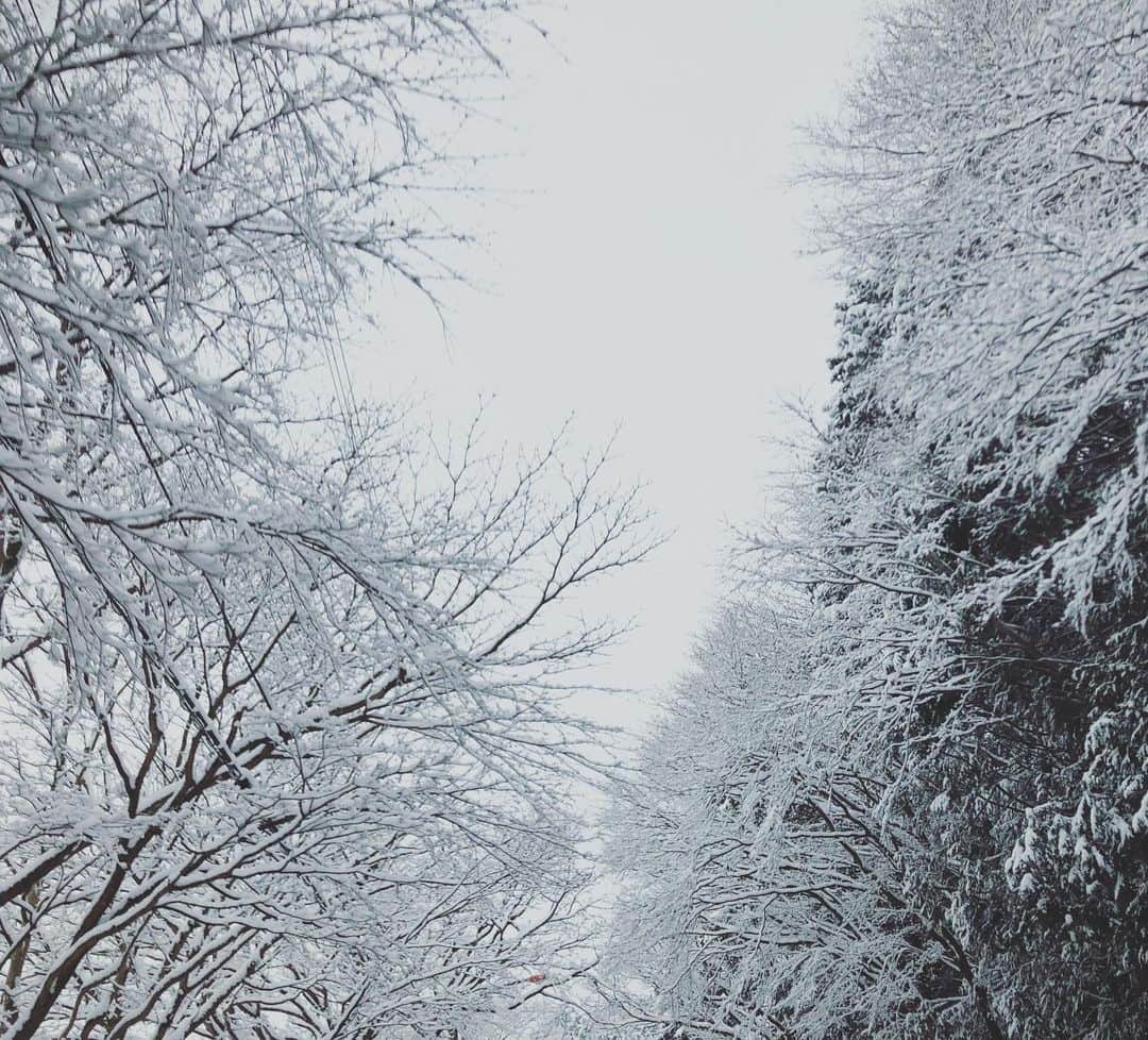 佐藤友紀のインスタグラム：「都内は雨がみぞれになってて、 春を疑う寒さ！  この写真は、雪を撮るようになっちゃあ、道産子もおしまいよ。と、寅さん風に家族に言われたときの。 箱根です、 . #雪 #みぞれ #雪景色　#パン屋さん #コーヒー　#箱根 #小休憩に #寅さん #snowday #coldday #cafe #hakone」