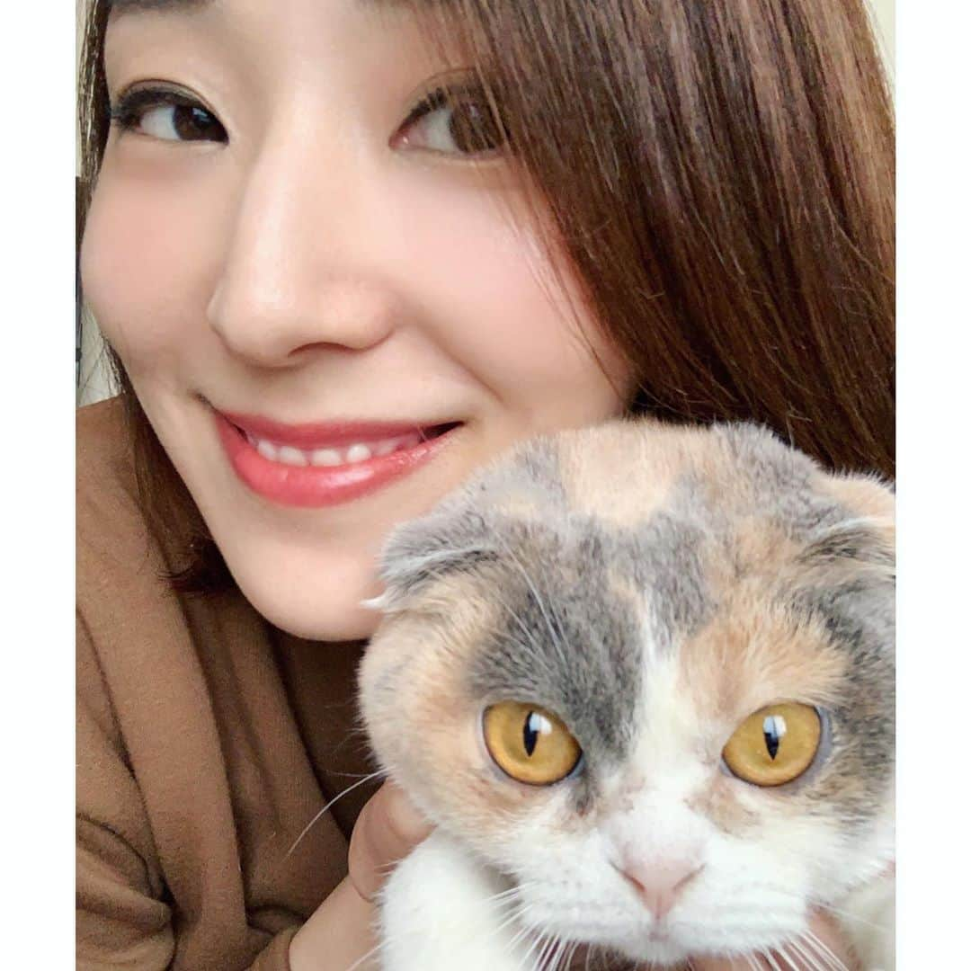 澄輝さやとさんのインスタグラム写真 - (澄輝さやとInstagram)「.﻿ だんだんと暖かくなってきたと思ったのに﻿ 今日は少し寒いですね💦﻿ 早く脱皮したいなぁ☀️﻿ ﻿ ポポさんとのツーショット撮ってみました🐈﻿ ポポさんがまたしても、﻿ なかなかカメラを向いてくれず💦﻿ セルフタイマーで撮ったのですが、﻿ ポポさんが動いちゃうので連写😂﻿ それでも何度も失敗しました笑﻿ ﻿ #猫ちゃんとのツーショット﻿ #やっぱり難しいですね﻿ #ポポさん﻿ #ごめん笑﻿ #今日はホワイトデー﻿ #だそうです﻿ #娘役さんに何をお返ししようか﻿ #いつも悩んだなぁ﻿ #バレンタインはチョコだけど﻿ #ホワイトデーのお返しは﻿ #難しいですよね﻿ #素敵な１日を」3月14日 16時11分 - sayato_sumiki_official