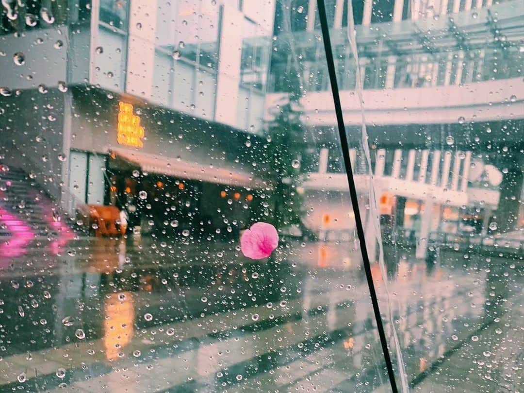 結城モエさんのインスタグラム写真 - (結城モエInstagram)「桜咲いているのに、 雪でとても寒いという不思議なお天気☂️🌸 . 私の傘に、桜がくっついて離れなかったのが可愛くて、、📷☺️ . さて明日から、新たな撮影がスタート。 今日ははやーーく寝ようかな💤 .  #tokyo #shibuya #cherryblossom  #🌸 #☂️」3月14日 16時20分 - moe_yuki_