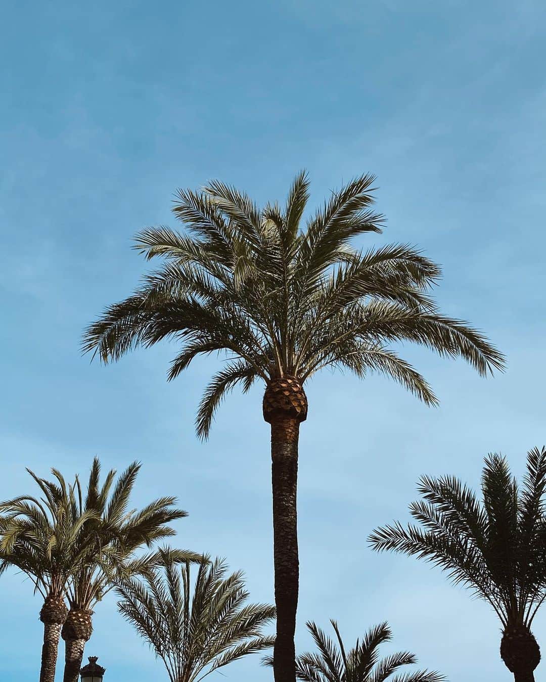 シャニーナ・シャイクのインスタグラム：「Deserted on an island ... isn’t too bad. Today Spain will be enforced a “state of alert” due to the coronavirus. Outside stores and restaurants will be shut down. This decision could decrease the spread of the virus so that everyone can remain safe and healthy. Really important to slow down on socializing in public places so we can save lives and contain this NASTY virus 🧼🙏🏽」