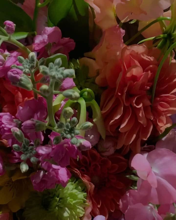 正中雅子のグルメインスタ