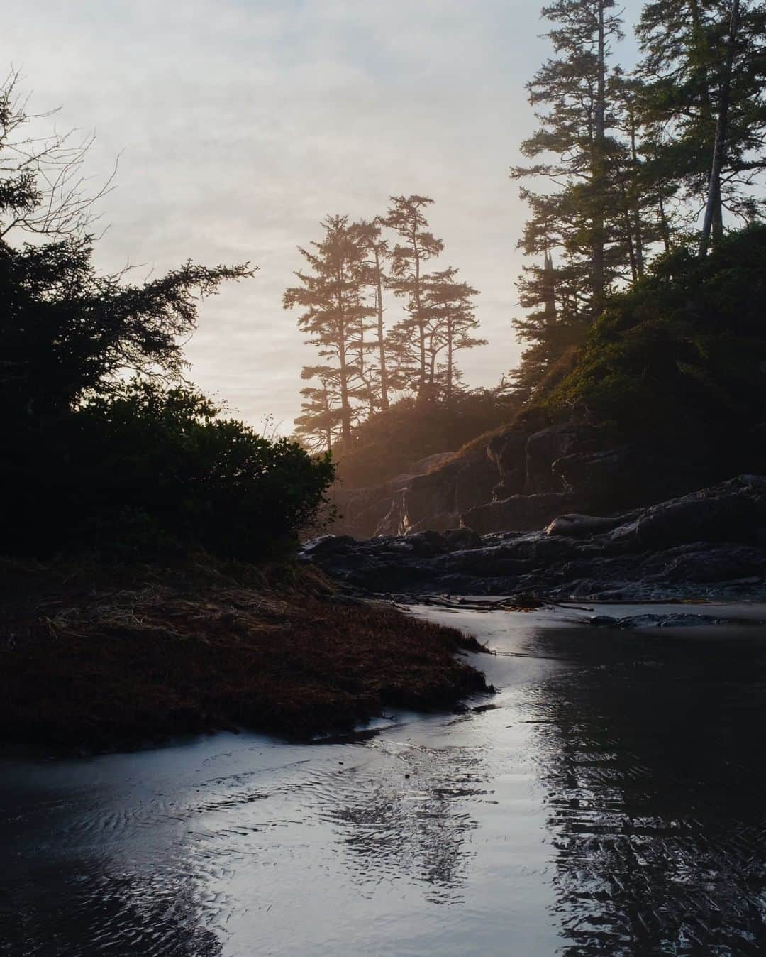 National Geographic Travelさんのインスタグラム写真 - (National Geographic TravelInstagram)「Photo by @MichaelGeorge | Over the past few years I have discovered the wonder of traveling to destinations in the off-season. When my partner and I arrived in the small coastal town of Tofino on Vancouver Island and said we were visiting from New York City, people’s heads went sideways. "In January?" they asked. In some ways, they had a point; it rained for seven days straight. But the temperatures huddled around the 50s during the day. Everything was still green—no snow in sight—and when the sun peeked out from the clouds we would walk along the beach. The island is sleepy this time of year, and you’ll be constantly warned about the local wildlife. Though the weather is gray and the days are short, the reward is peace and quiet. Nearly everywhere we went was completely empty.  This image was taken on Chesterman Beach during sunset. We hiked out to a point to watch the gray skies shift to a slight gold. We never saw a proper sunset, but we had this magical place to ourselves. #vancouverisland #canada #tofino #chestermanbeach #sunsetbeach」3月14日 17時08分 - natgeotravel