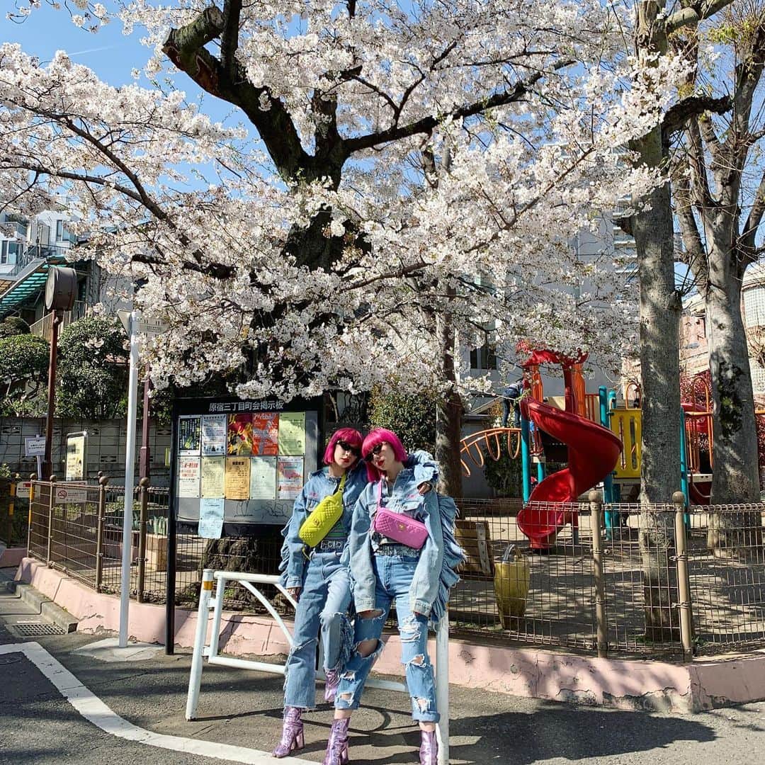 AYAさんのインスタグラム写真 - (AYAInstagram)「桜が舞うころ世界に平和な春が訪れますように。🌸」3月14日 17時56分 - ayaxxamiaya