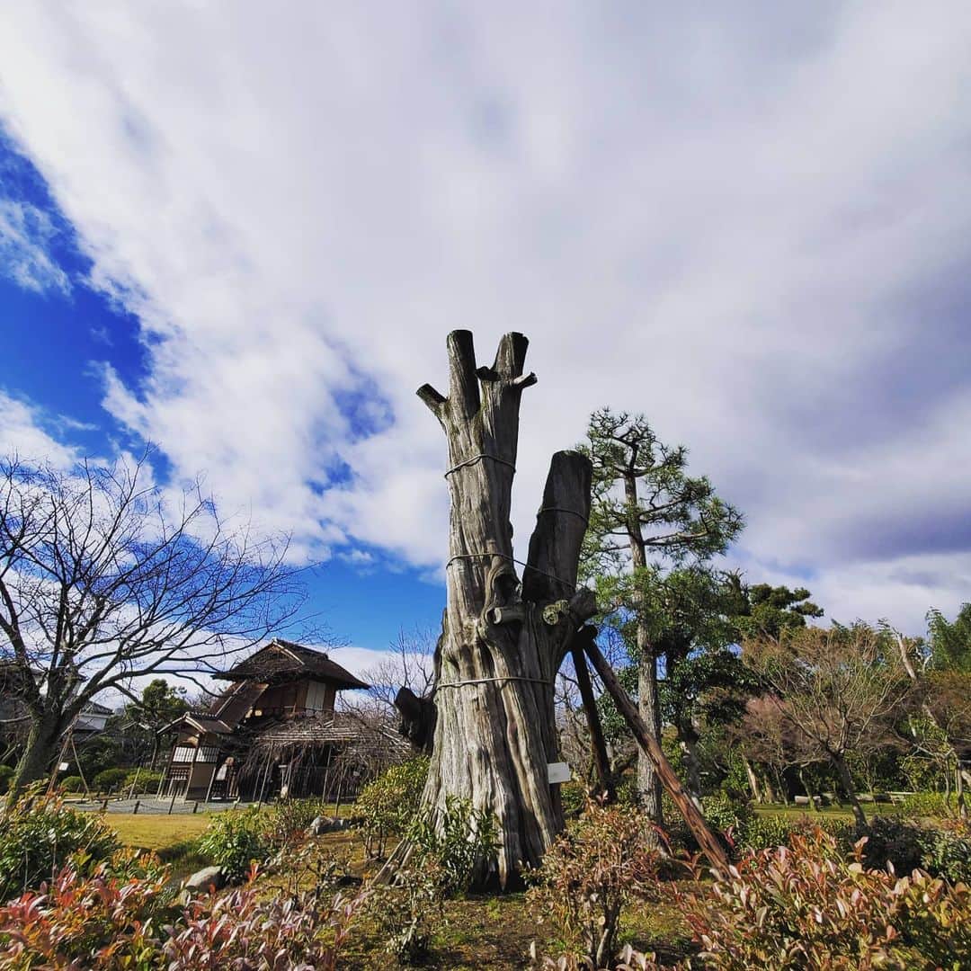 市川笑野のインスタグラム