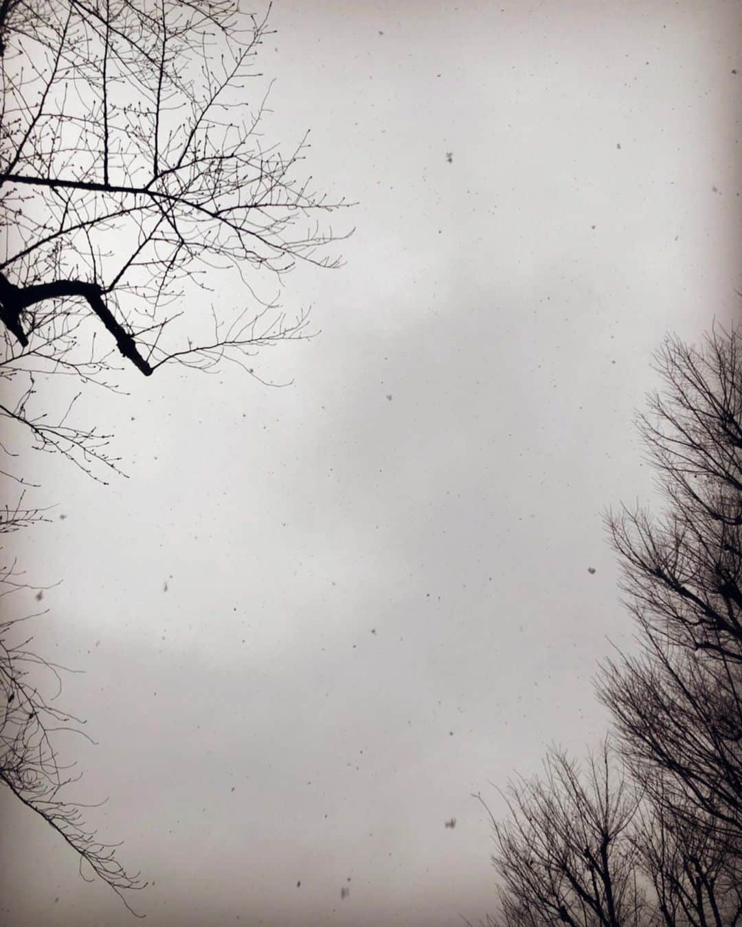 末永百合恵さんのインスタグラム写真 - (末永百合恵Instagram)「今日は衣装合わせと打ち合わせ。…が終わって外に出たら雪！  ホワイトデーに雪なんて素敵。  空からおちてくる雪って、世界の音消すみたいだ。  帰り路、ふらり熱燗。  #衣装合わせ#打ち合わせ#雪#3月の雪#雪の降る音#好き#ホワイトデー#ホワイトデースノー#寒い#日本酒#日本酒好き#熱燗#熱燗日和#snow#snowflakes#march#whiteday#whitedaysnow#workout#japanesesake」3月14日 18時49分 - yurie__suenaga