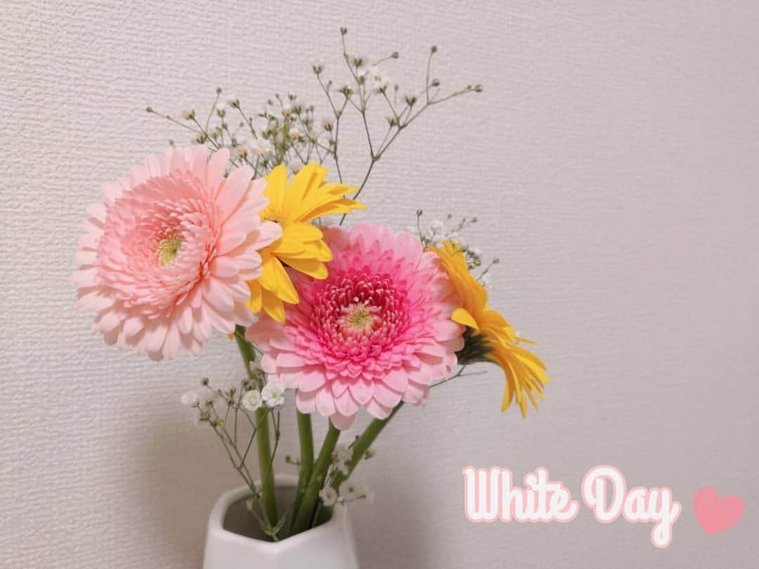 白井珠希のインスタグラム：「* * 今日はまさかの雪❄ 桜の開花と雪が重なる不思議な日でしたね。 * 雪の中、夫がホワイトデーのお花を買ってきてくれました💞 春らしいカラーのガーベラ✨ ガーベラ大好きなので嬉しい！☺️ やっぱりお花はいいですね🎶 * * #ホワイトデー #whiteday #ガーベラ #garbera #instagramjapan #flowers #かすみ草 #flowerstagram #instagramflowers #flower #花束 #プレゼント #❄ #花瓶 #花のある暮らし #花好き #花部 #ホワイトデーギフト #花を飾る #花のある生活」