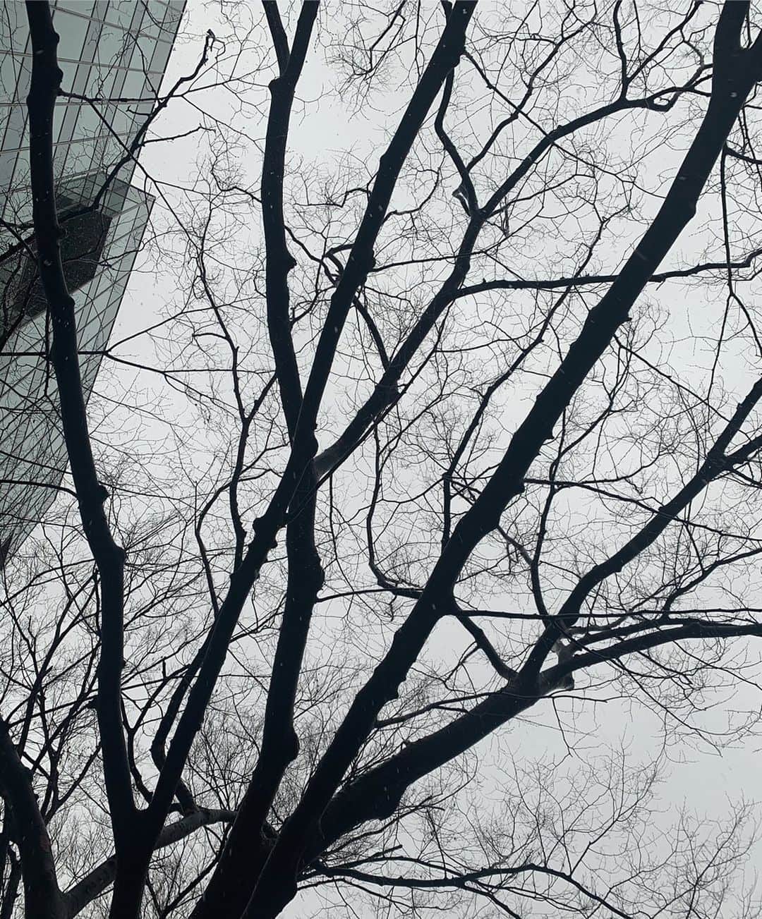 谷川菜奈さんのインスタグラム写真 - (谷川菜奈Instagram)「Happy white day☃️🤍 寒すぎてびっくり！風邪引かないように あったかく過ごしてください☺︎」3月14日 19時47分 - pechi.130