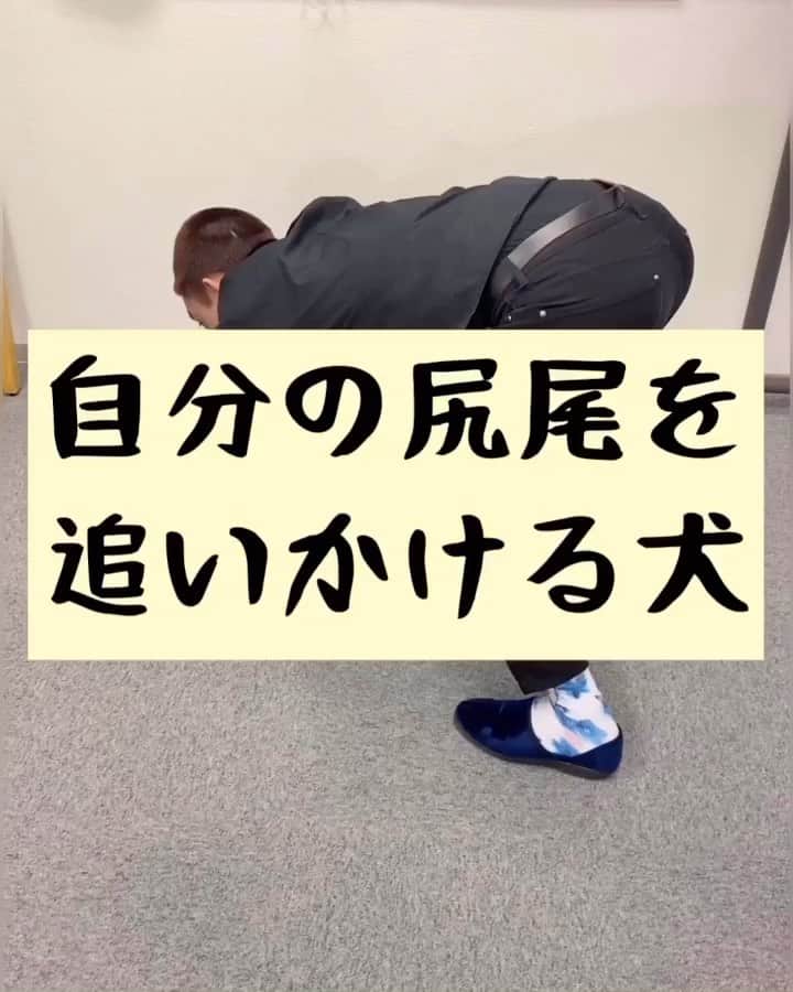 たいゆうきのインスタグラム：「タイの 動物あるあるモノマネ 「自分の尻尾追いかける犬」  #タイ動物 #動物 #あるある #ものまね  #犬 #dog #ペット  #家」