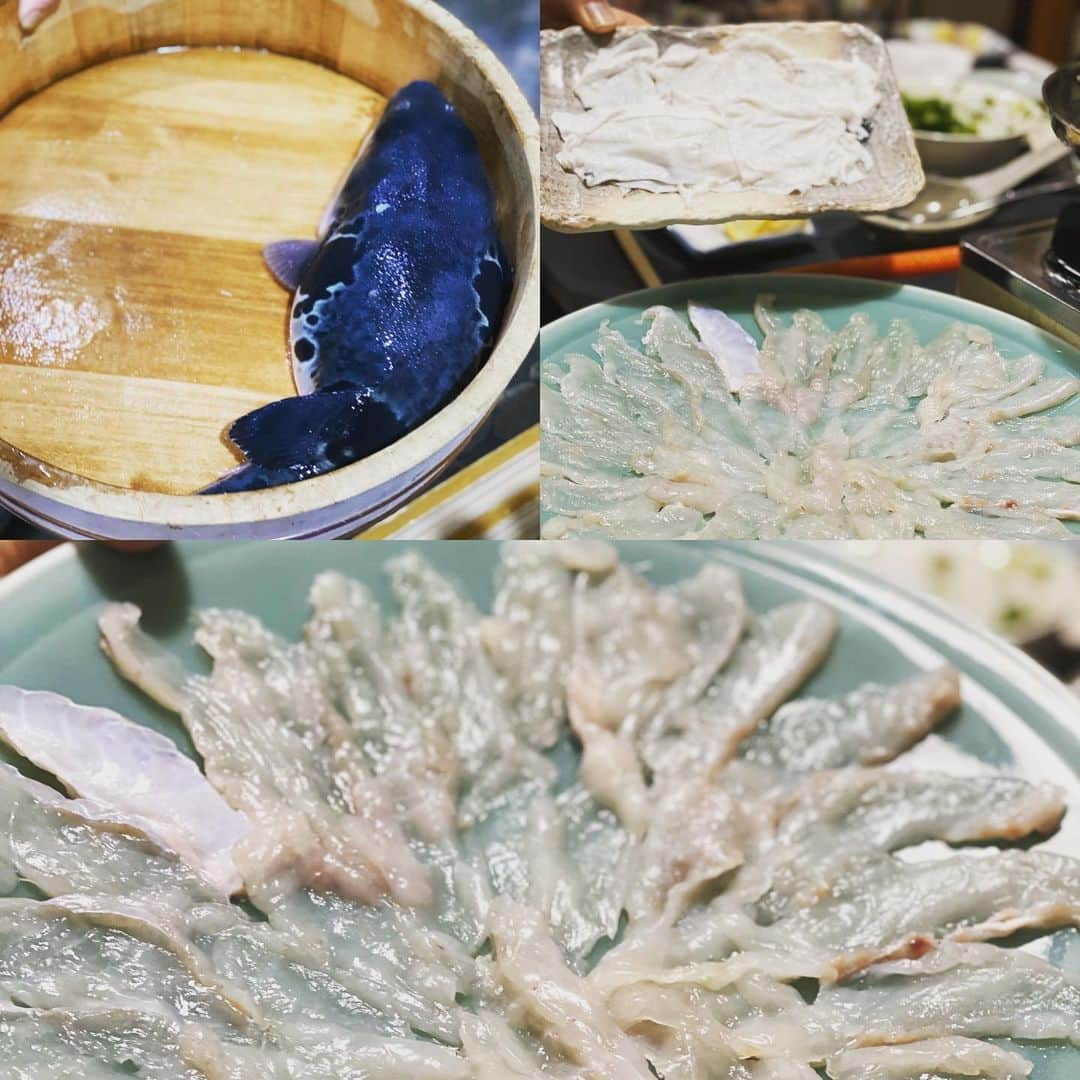 伊達公子さんのインスタグラム写真 - (伊達公子Instagram)「今週のDinner 久々の河豚！ 一之江まで食べに行ってきたー。 #伊達公子 #kimikodate #テニス #テニスプレーヤー #テニスプレイヤー #tennis #tennisplayer #instatennis #instasports #instagourmet #instarestaurant #河豚 #blowfish #一之江」3月14日 20時05分 - kimiko.date