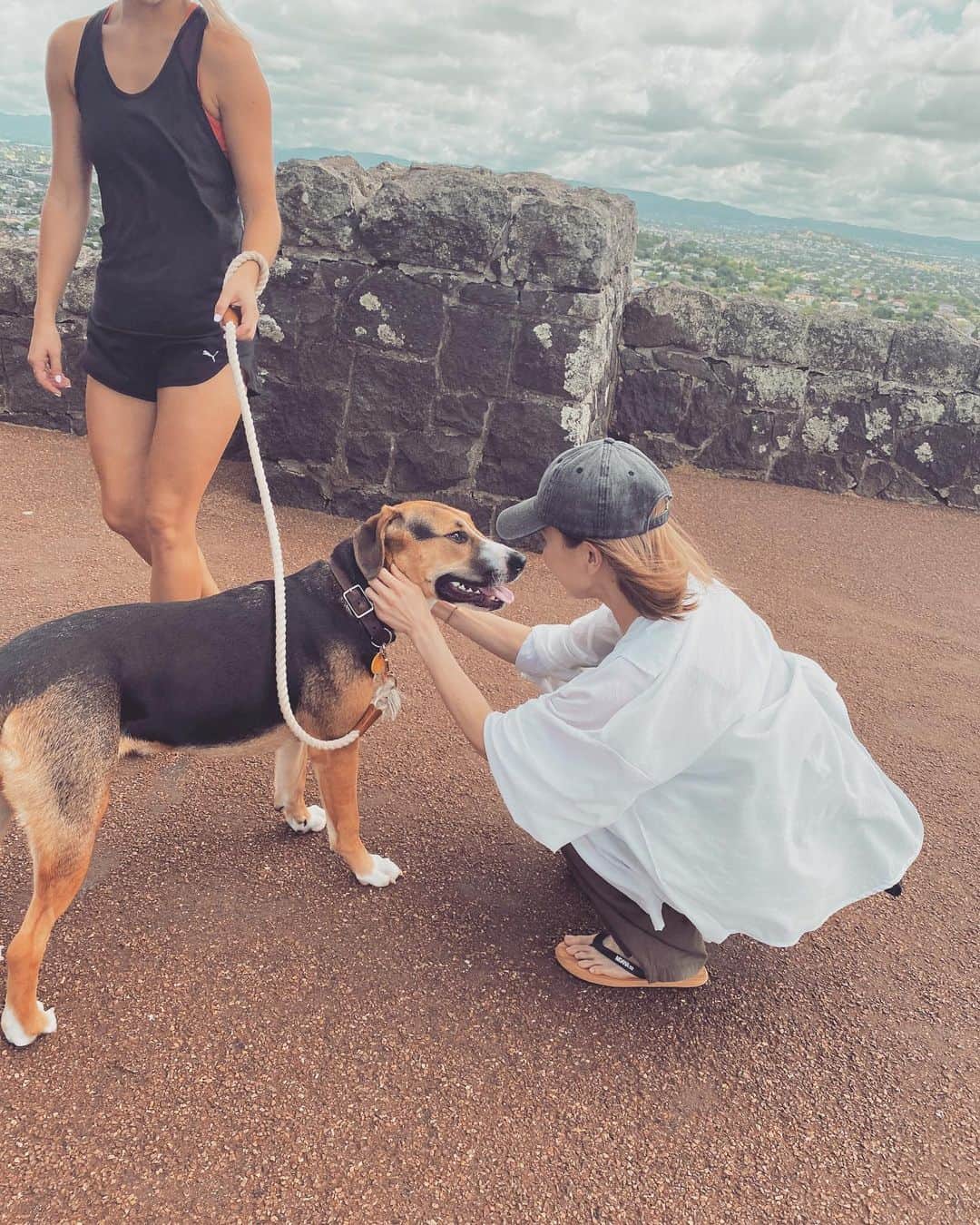 階上実穂さんのインスタグラム写真 - (階上実穂Instagram)「‪One Tree Hill‬で ニュージーランド・ハンタウェイに遭遇🐶🐾 顔が愛犬のペコ&ぶーちゃんをmixした感じで大好きな犬種なの♩¨̮⑅* honeyちゃんとってもかわいかったー🤤💓💓」3月14日 20時19分 - miho_ishigami