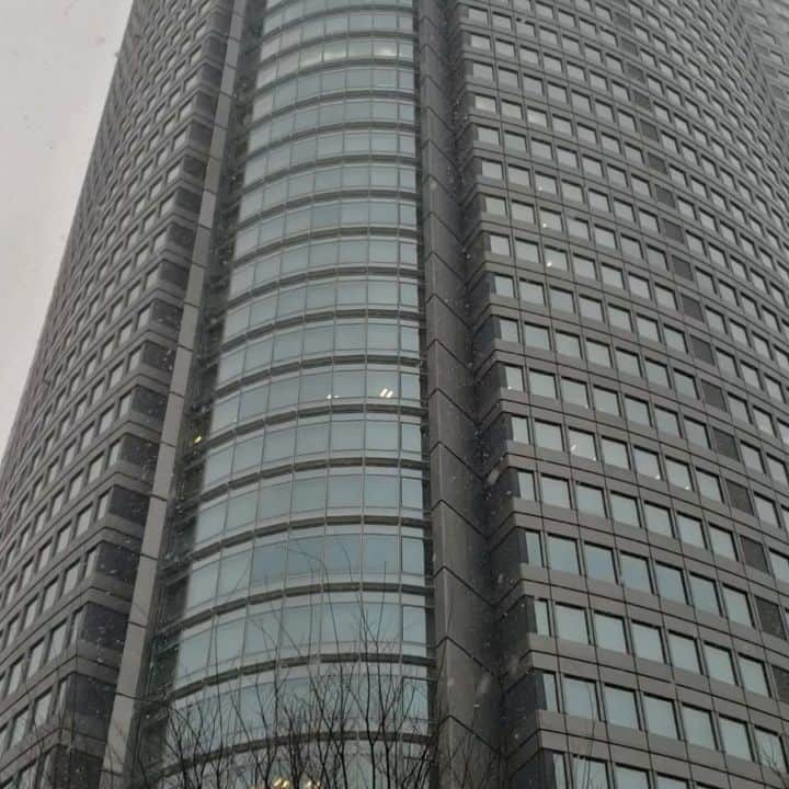インゴのインスタグラム