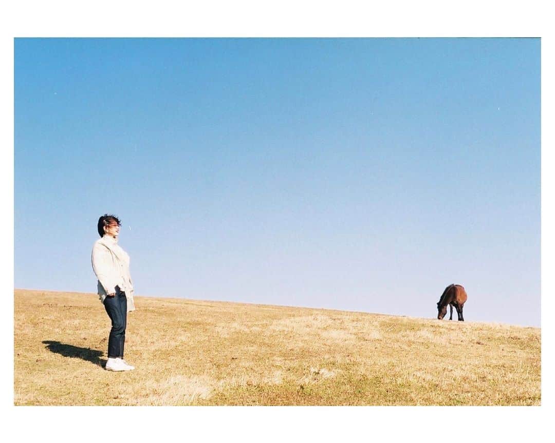 Tamakiのインスタグラム：「馬シリーズ① #film #35mm #ハーフカメラ」