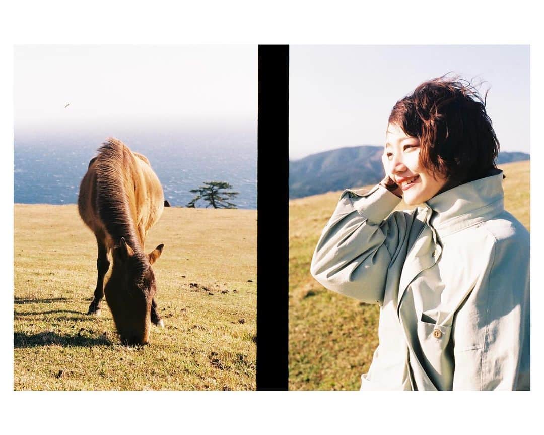 Tamakiのインスタグラム：「馬シリーズ② #film #35mm #ハーフカメラ」