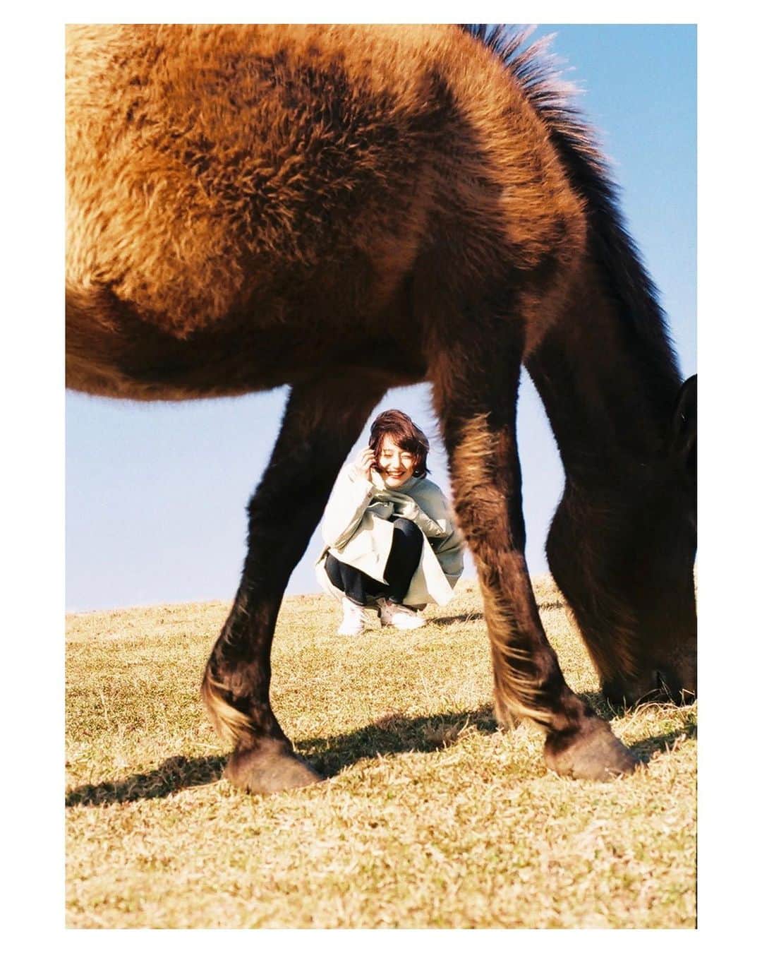 のインスタグラム：「馬シリーズ③ #film #35mm #ハーフカメラ」
