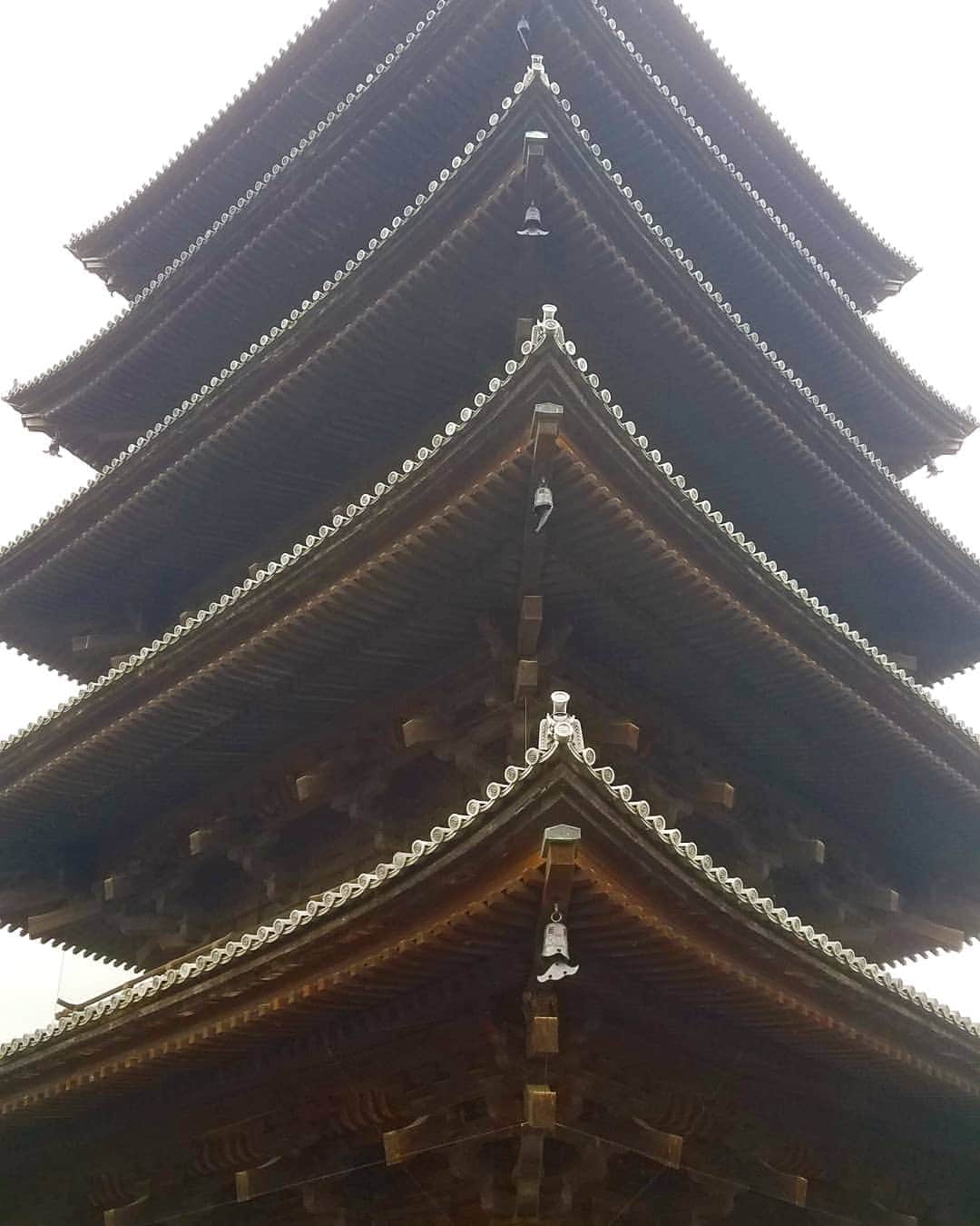 黒田啓蔵さんのインスタグラム写真 - (黒田啓蔵Instagram)「今日も早朝から京都でロケをしていました。今日の京都は、寒かったぁ~ それでも無事に撮影は、終了。 只今、新幹線で東京に向かっています。 この撮影はまだ自分では見たことのない京都に毎回出会える仕事です。次はどんな出会いがあるのかなぁ。 #京都#撮影#毎回#新しい出会い #ロケ #世界遺産」3月14日 20時23分 - kurodakeizo