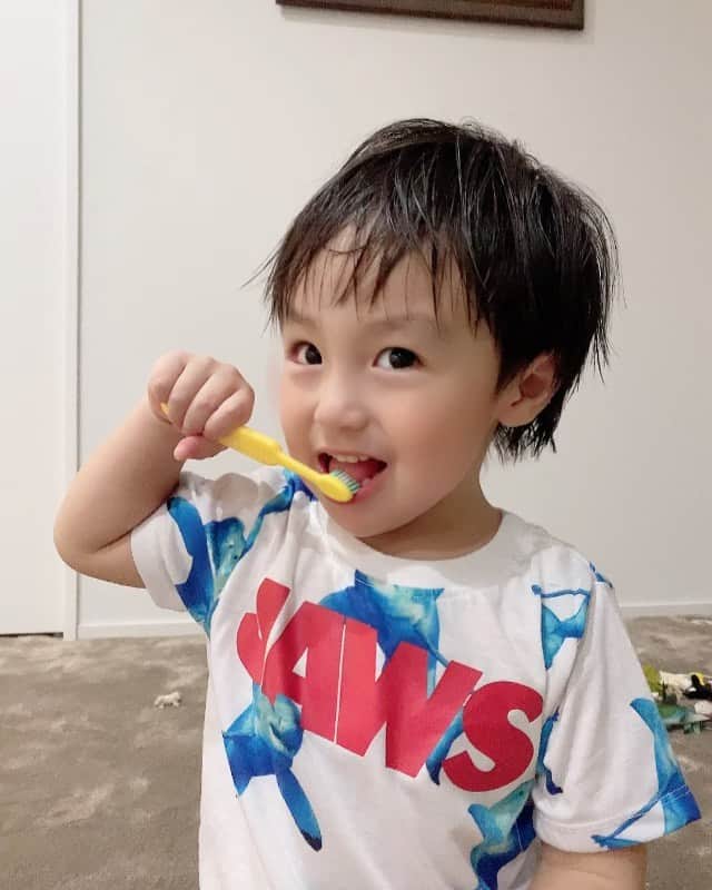 アレクサンダーのインスタグラム