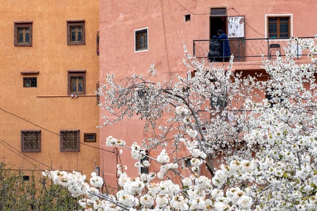 National Geographic Travelさんのインスタグラム写真 - (National Geographic TravelInstagram)「Photo by @KristaRossow | During my visit to Morocco’s High Atlas region last April, trees were seemingly turning into white clouds of blossoms everywhere I looked. I loved the pastel palette of the boxy homes in the village of Imlil juxtaposed with the cascade of spring blossoms.  To see more images from Morocco, visit @KristaRossow. #Morocco #spring #blossoms #HighAtlas」3月14日 21時07分 - natgeotravel