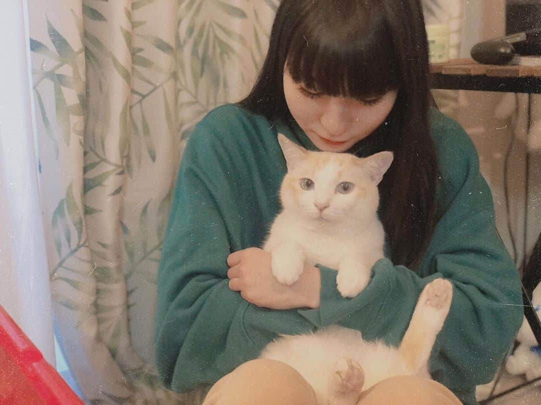 ピンキー！☆藤咲彩音さんのインスタグラム写真 - (ピンキー！☆藤咲彩音Instagram)「今日は愛猫カナルの誕生日。 去年カナルのインスタまで出来たり、雑誌に出演したり、MVにも出演したり、いろんな形でかわいいカナルをたくさんの人に知っていただけて愛していただけて、飼い主大歓喜です。 人懐っこくて猫より犬みたいな性格のカナル。 これからものびのび育ってね。 誕生日を迎えた瞬間、嬉しくて涙が止まらなかったくらいには親バカ。 5歳おめでとう！ photo by @shibata_aribobo」3月14日 21時15分 - pinky_ayane