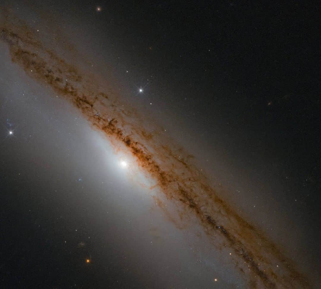 NASAさんのインスタグラム写真 - (NASAInstagram)「Our Hubble Space Telescope is searching this spiral galaxy for the aftermath of a really big meal — a star swallowed up by a ravenous supermassive black hole at the center. Astronomers will confirm the star’s fate when they find evidence, in the form of stellar debris ejected during the event.⁣ ⁣ Image credit: ESA/Hubble & NASA⁣ ⁣ #galaxy #blackhole #hubble #universe #nomnom」3月15日 8時00分 - nasa
