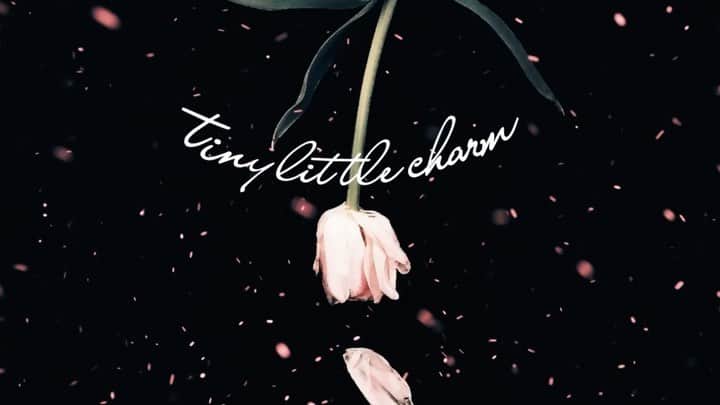 バンのインスタグラム：「すみません。4/18のtiny little charm 1stワンマンライブ『変身』は延期になってしまいました。申し訳ないので1st album「2◯2◯4」より夢の中ならを公開します🎻POLUの楽曲をゲストに橋本脩平さんを迎えセルフカバーしました🎹  夢の中なら / tiny little charm full ver ▷ youtu.be/TVycrZnJ4xU  作詞・作曲 : バン 編曲 : バン、カキモトナオ Photographer : 国分真央  延期公演は7〜8月で調整しています。万全の状態でライブハウスでお会いできるのを楽しみにしています。  #tinylittlecharm #tlc #POLU #夢の中なら #国分真央 #カキモトナオ」