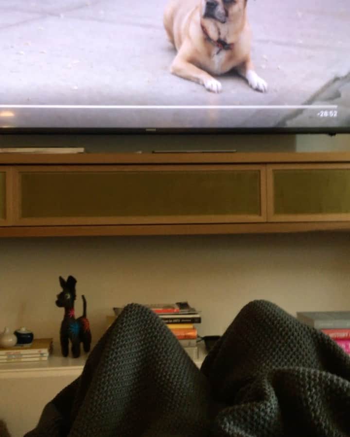 エリザベス・リーサーのインスタグラム：「Luther loves this show and especially this dog actor #highmaintenance #socialdistancing」