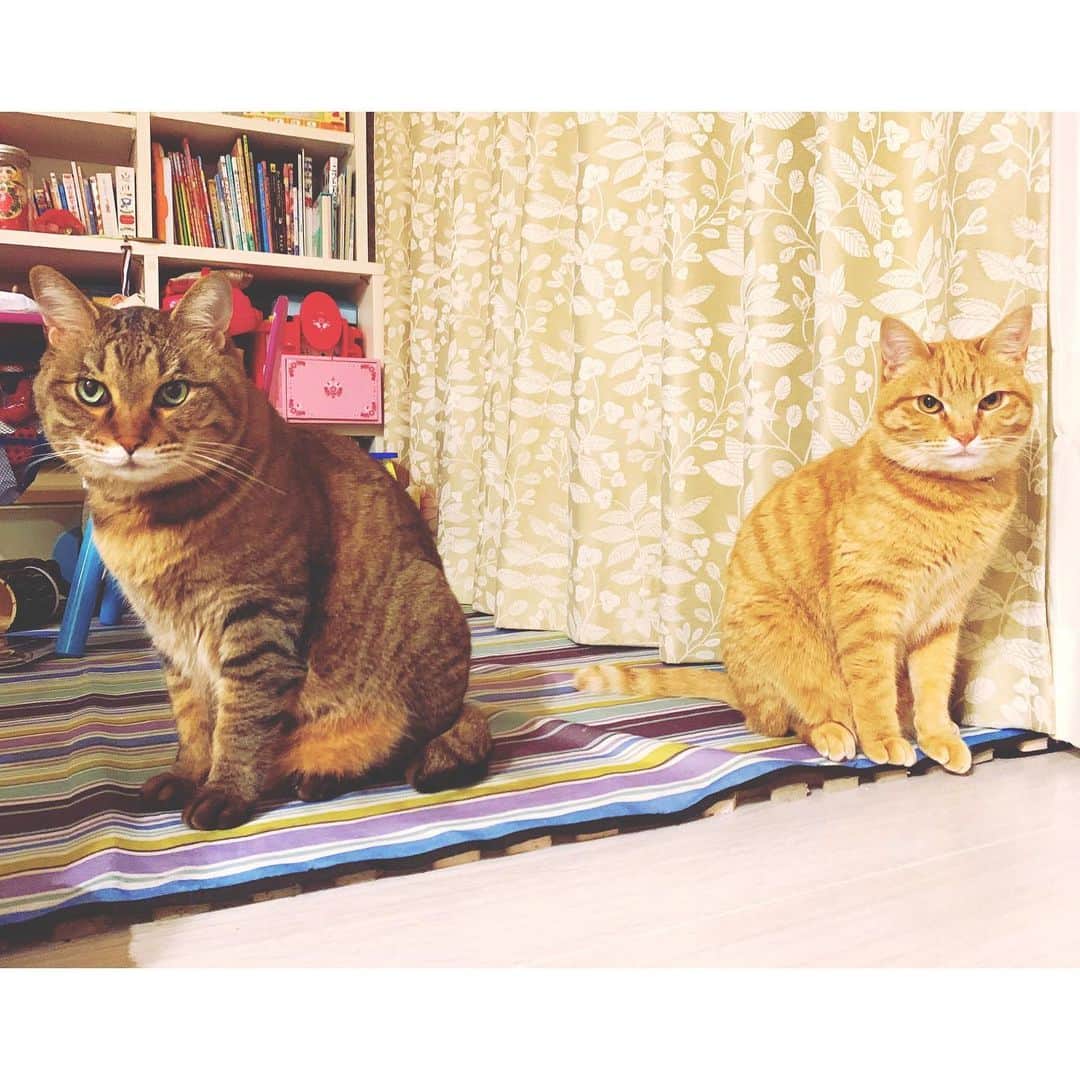 kainatsuのグルメインスタ