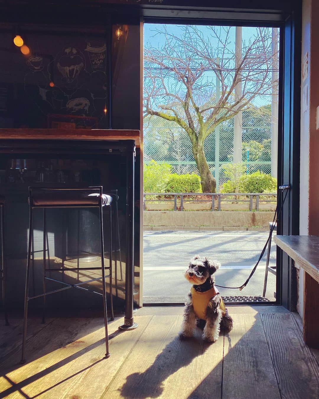 谷川じゅんじのグルメインスタ