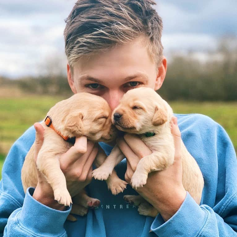 カスパー・リーのインスタグラム：「Whoever said you can’t buy happiness forgot little puppies.」