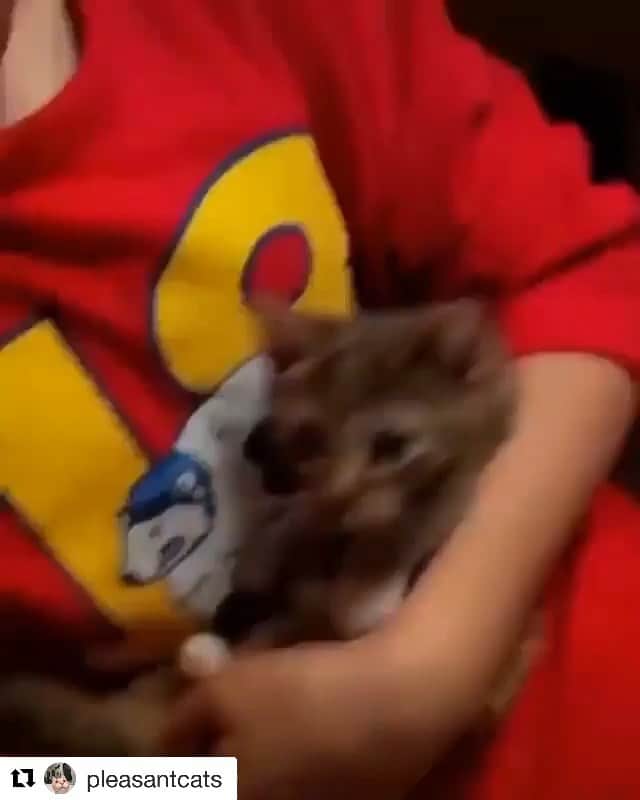 ストラッサー起一のインスタグラム：「可愛い過ぎてむり😆😆😆」